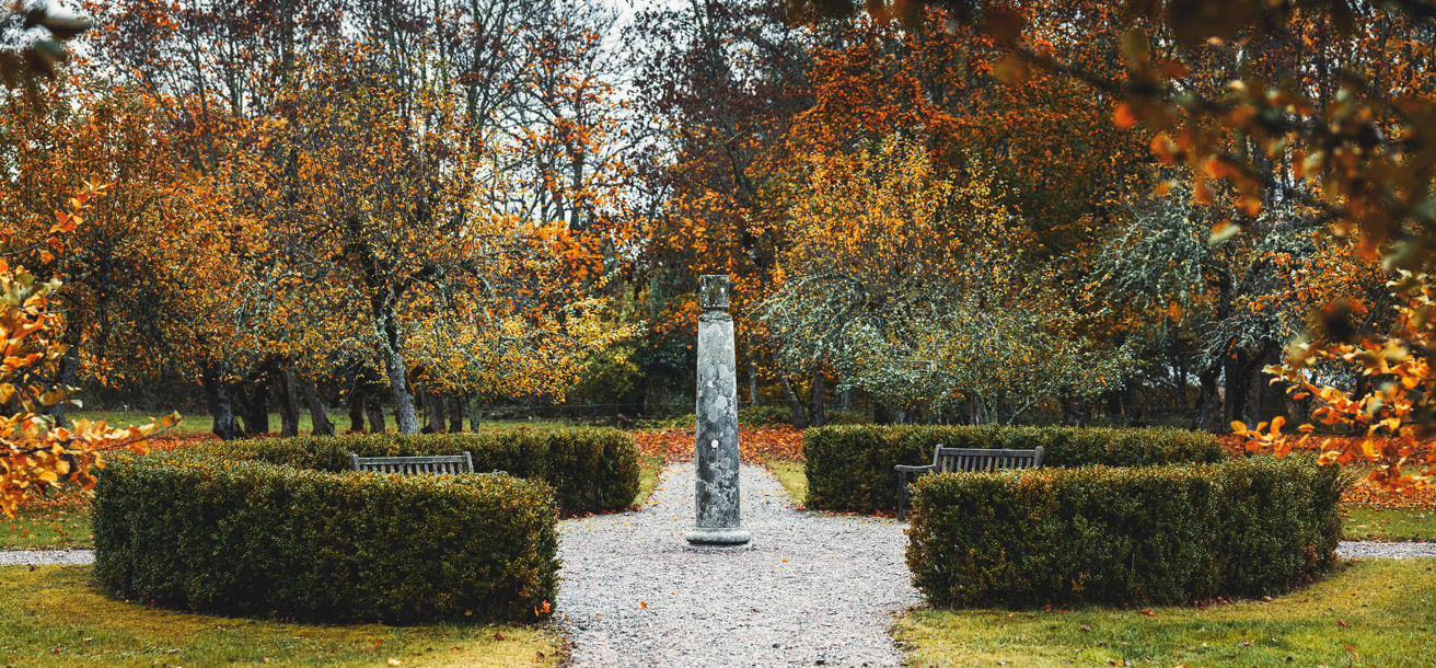 Trädgård i höstsrkud med orangea löv